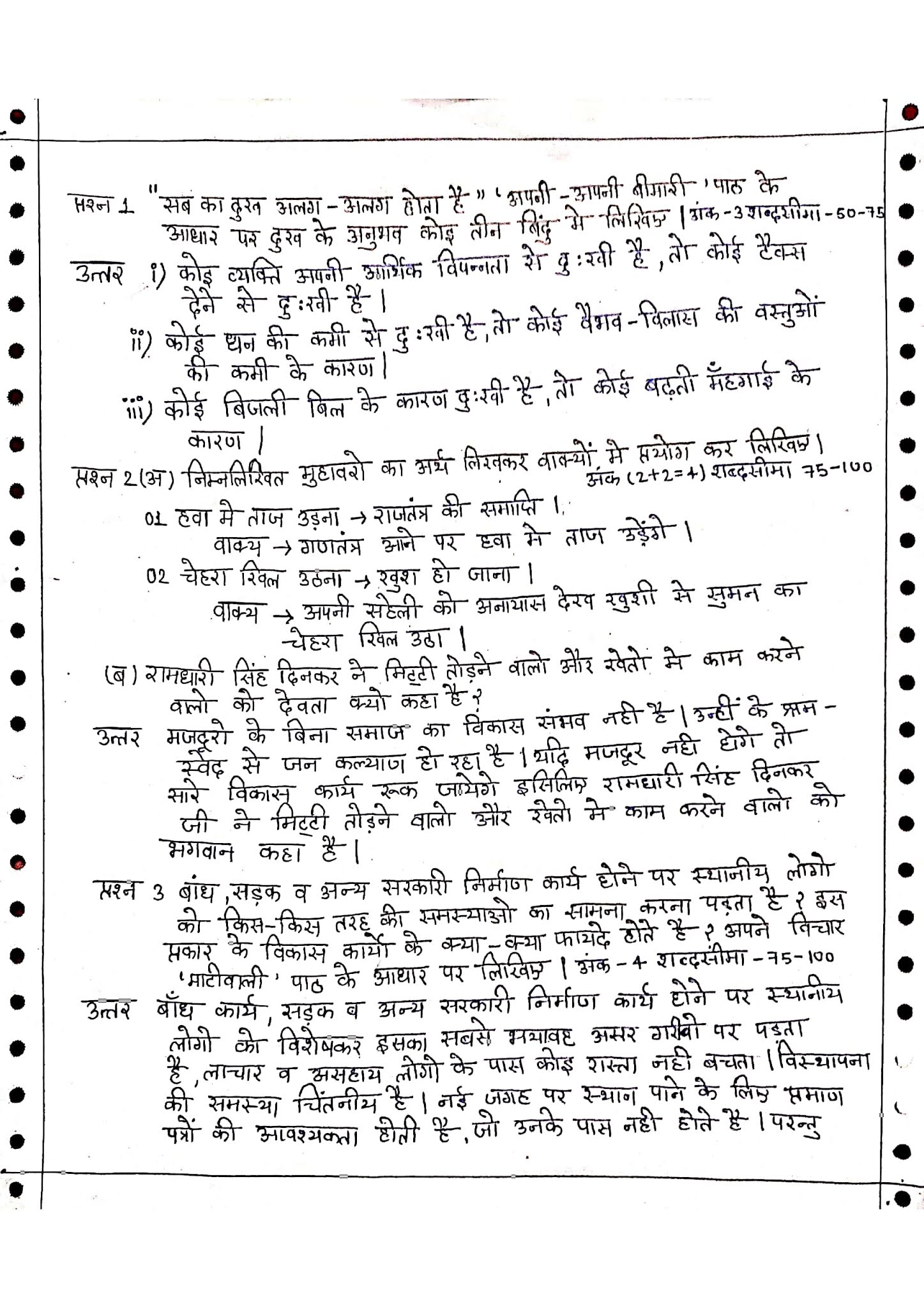 my hindi assignment in hindi