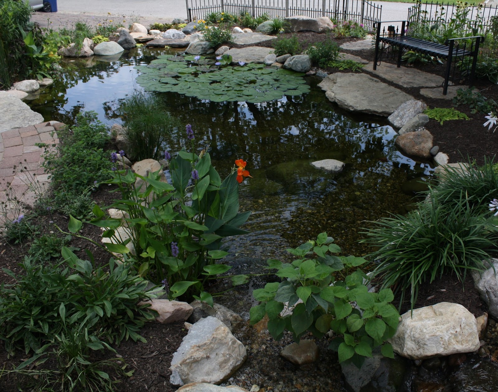 Benefits of Adding a Creek to Your Pond