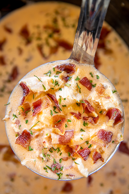 Slow Cooker Low-Carb Crack Chicken Soup - chicken soup loaded with cheddar, bacon, and ranch. Super easy to make - just dump everything in the slow cooker and let it do all the work. Chicken, cream cheese, chicken broth, bacon, ranch dressing mix, cheddar cheese. Can add spinach or broccoli to soup mixture. Delicious even if you aren't doing a keto/low-carb diet. #soup #slowcooker #crockpot #chicken #lowcarb #keto ladle of chicken and bacon soup