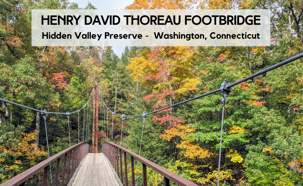 Katie Wanders Henry David Thoreau Footbridge (Hidden Valley Preserve