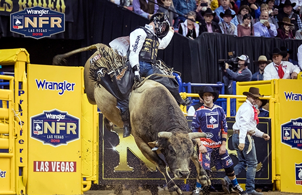 Brazilian Rodeo Flashes