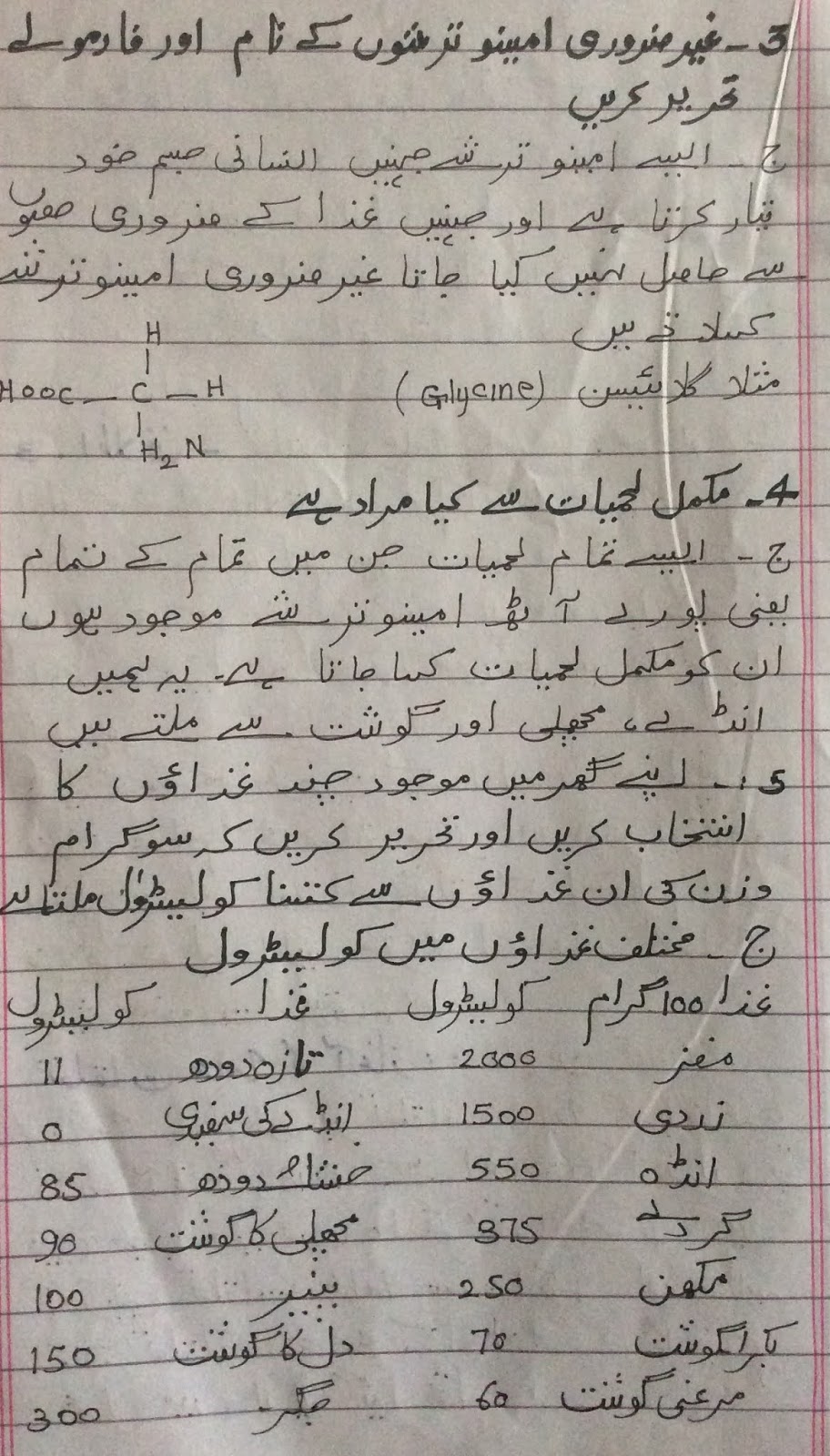 Daloon essay 05 picture