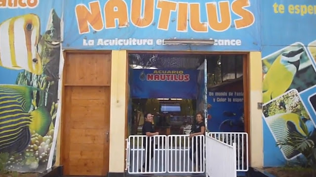 Acuario Nautilus