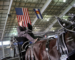 2014 Big Thunder Draft Horse Show