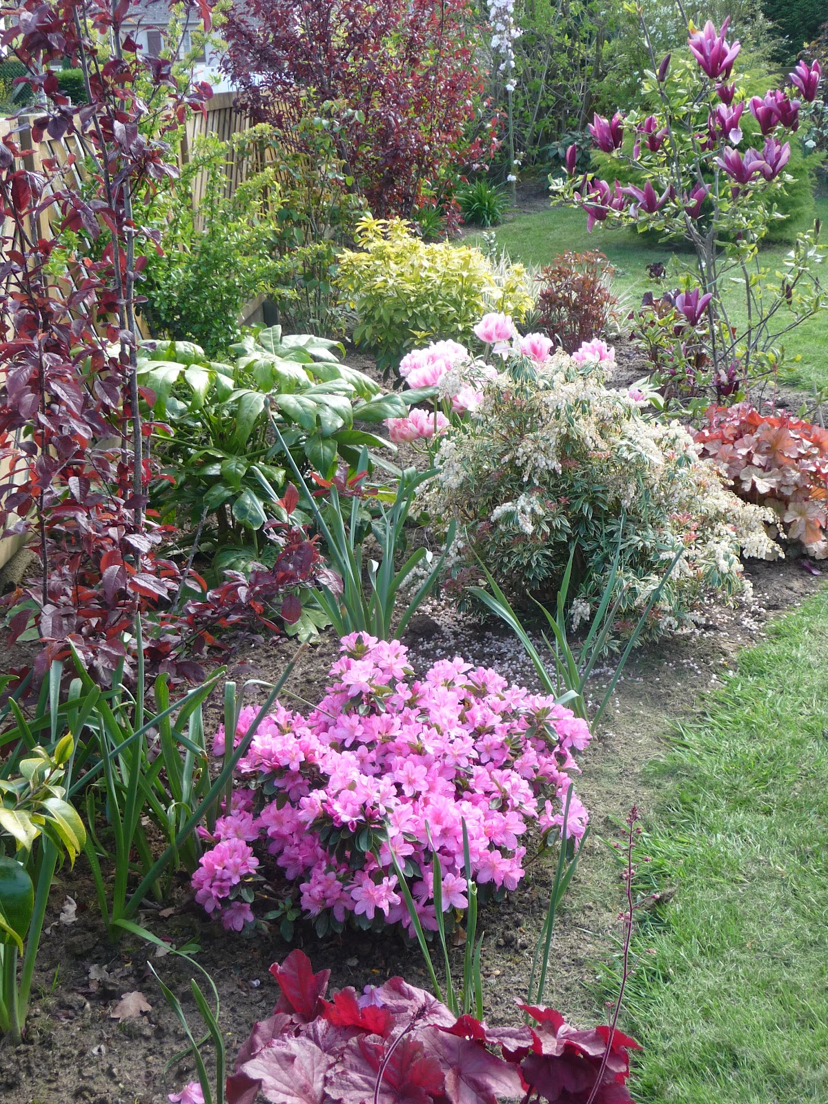 Ma Terre De Bruyere Du Jaune Pour Faire Diversion