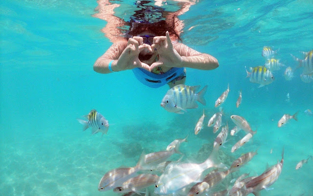mulher jovem de snorkel mergulhando em um recife de corais