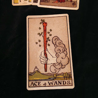 權杖一 Ace of Wands：思考的靈感