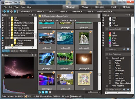 download acdsee pro download acdsee pro