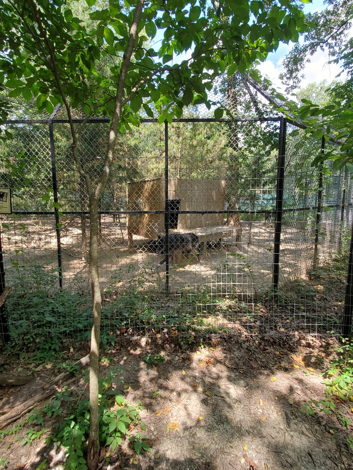 Play St. Louis Wild Animal Adventure Park, Stanton