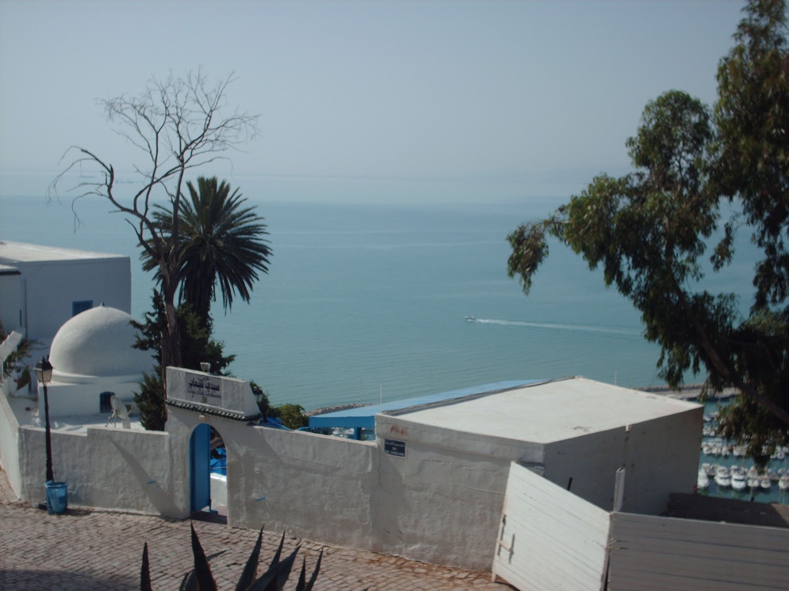 Geografía, Historia y Arte: Sidi Bou Said (Túnez)