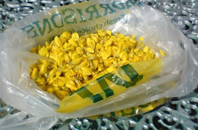 gorse flowers in a bag