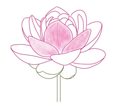 how-to-draw-a-lotus