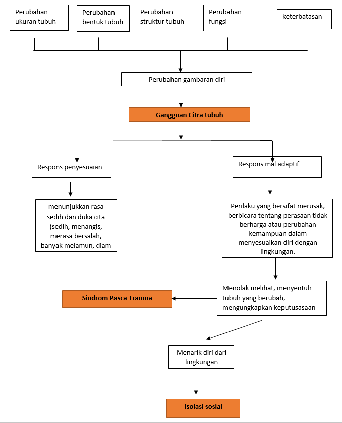 Patofisiologi Dan Pathway vrogue.co