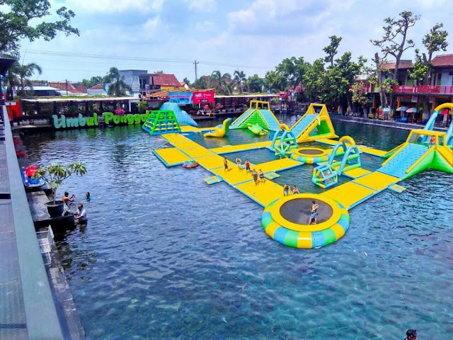 Turning polluted ponds into a social networking star in Indonesia