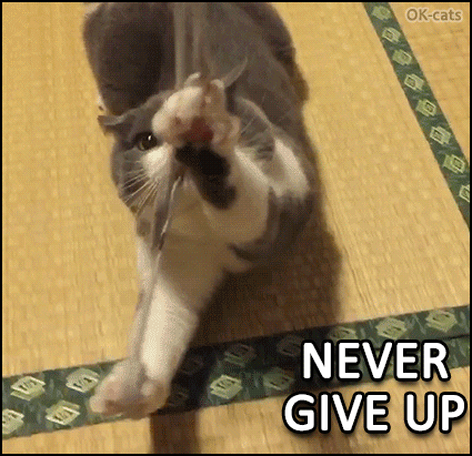 Cat GIF with caption • Marionette cat is strong! NEVER GIVE UP, it will take some times but you'll win! Cat GIF with caption • Marionette cat is strong! NEVER GIVE UP, it will take some times but you'll win!