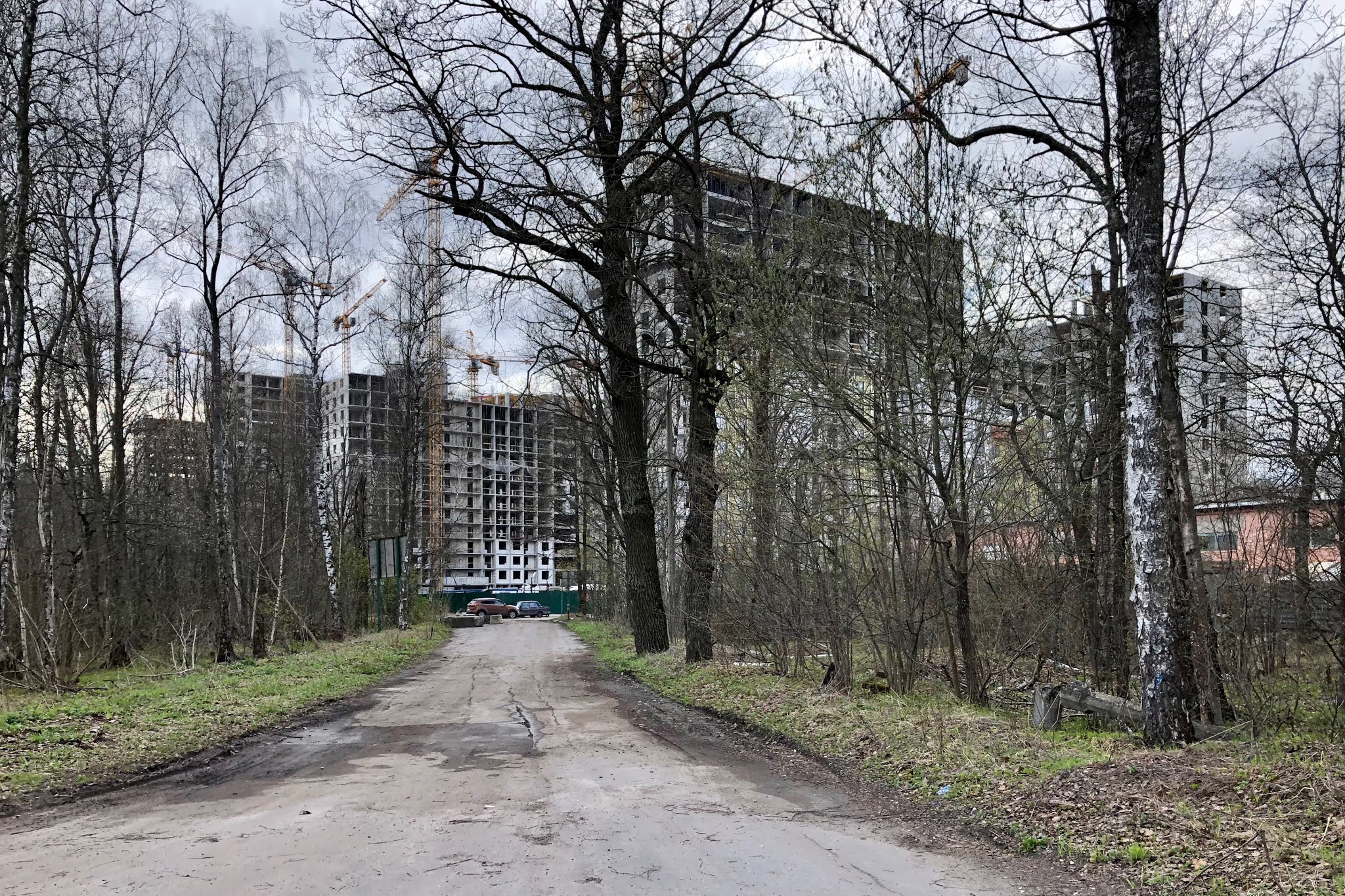 2021: Лосиный остров