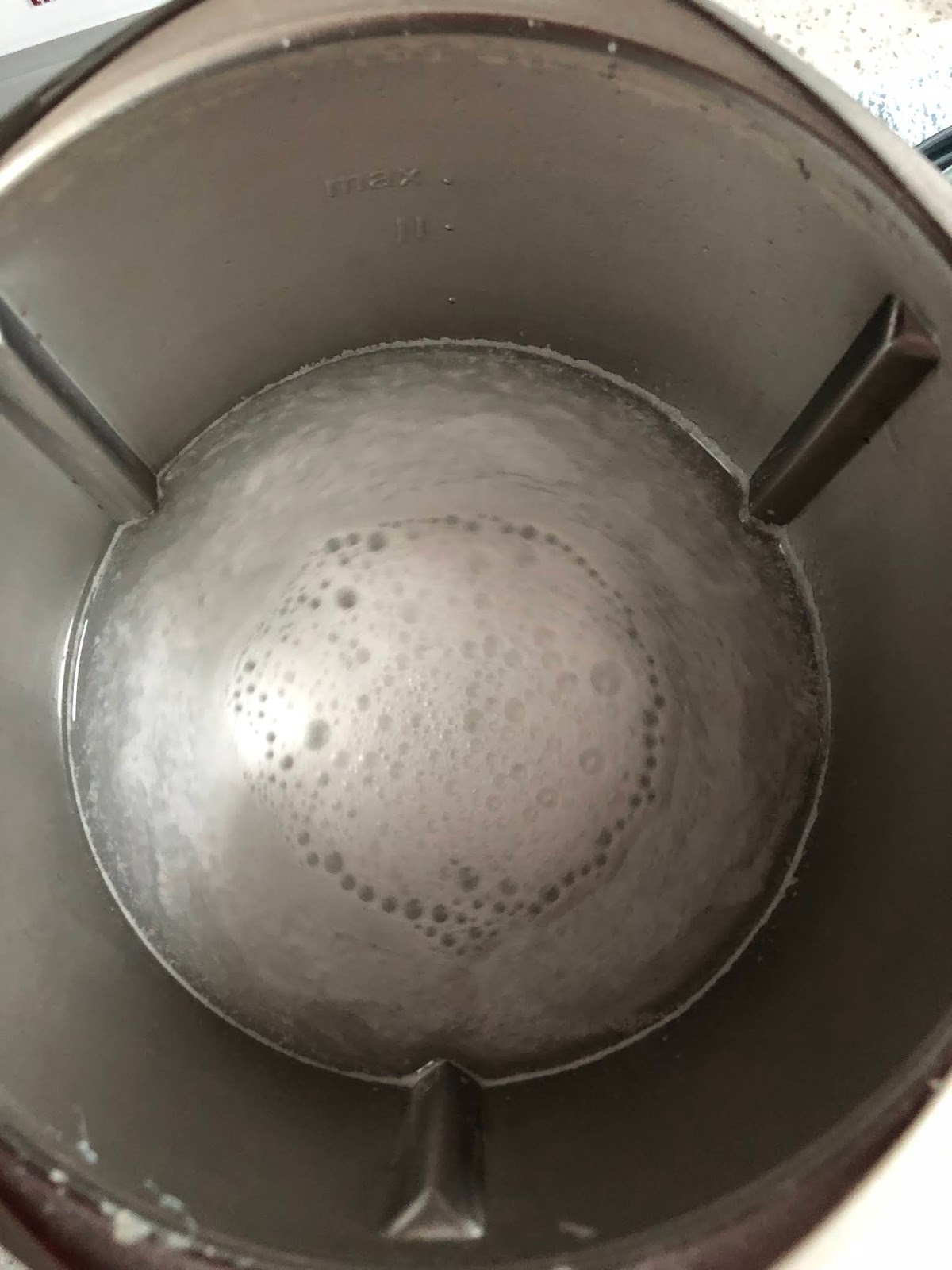 The Right to Be Alive Thermomix Mince Meat