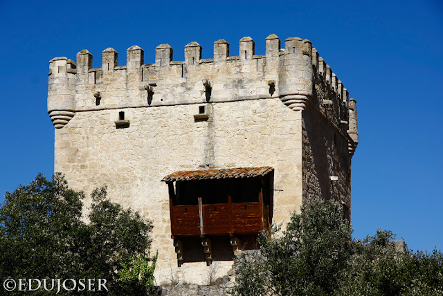 EDUJOSER TORRE DE LOJA, QUINTANA DE VALDIVIESO (Burgos)