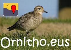 Ornitho.eus