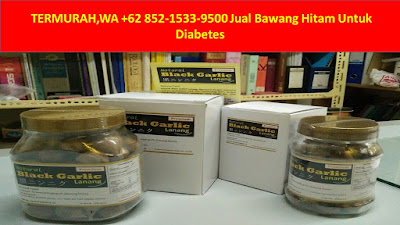 bawang hitam beli dimana, bawang hitam black garlic, bawang hitam black garlic dejanu malang kota malang jawa timur, bawang hitam buat asam lambung, bawang hitam bppt, bawang hitam buat apa, bawang hitam berasal dari mana, bawang hitam buat diabetes, manfaat bawang hitam bagi kesehatan, bawang hitam cara buat.