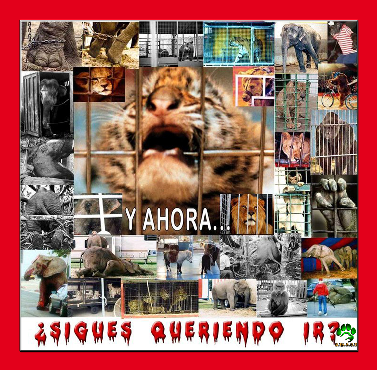 No más circos con animales en