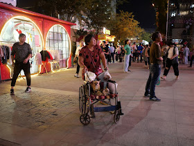 woman pushing two small dogs sitting on a wheelchair