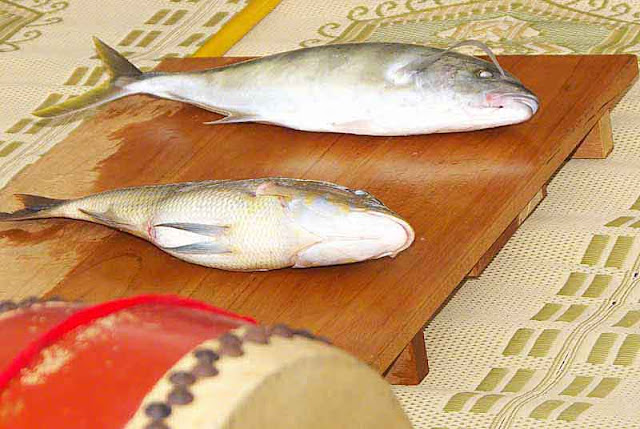 taiko drum, 2 fish, wood platform, tatami mat