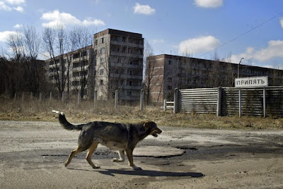 Chernobyl Selepas 27 Tahun Berlalu