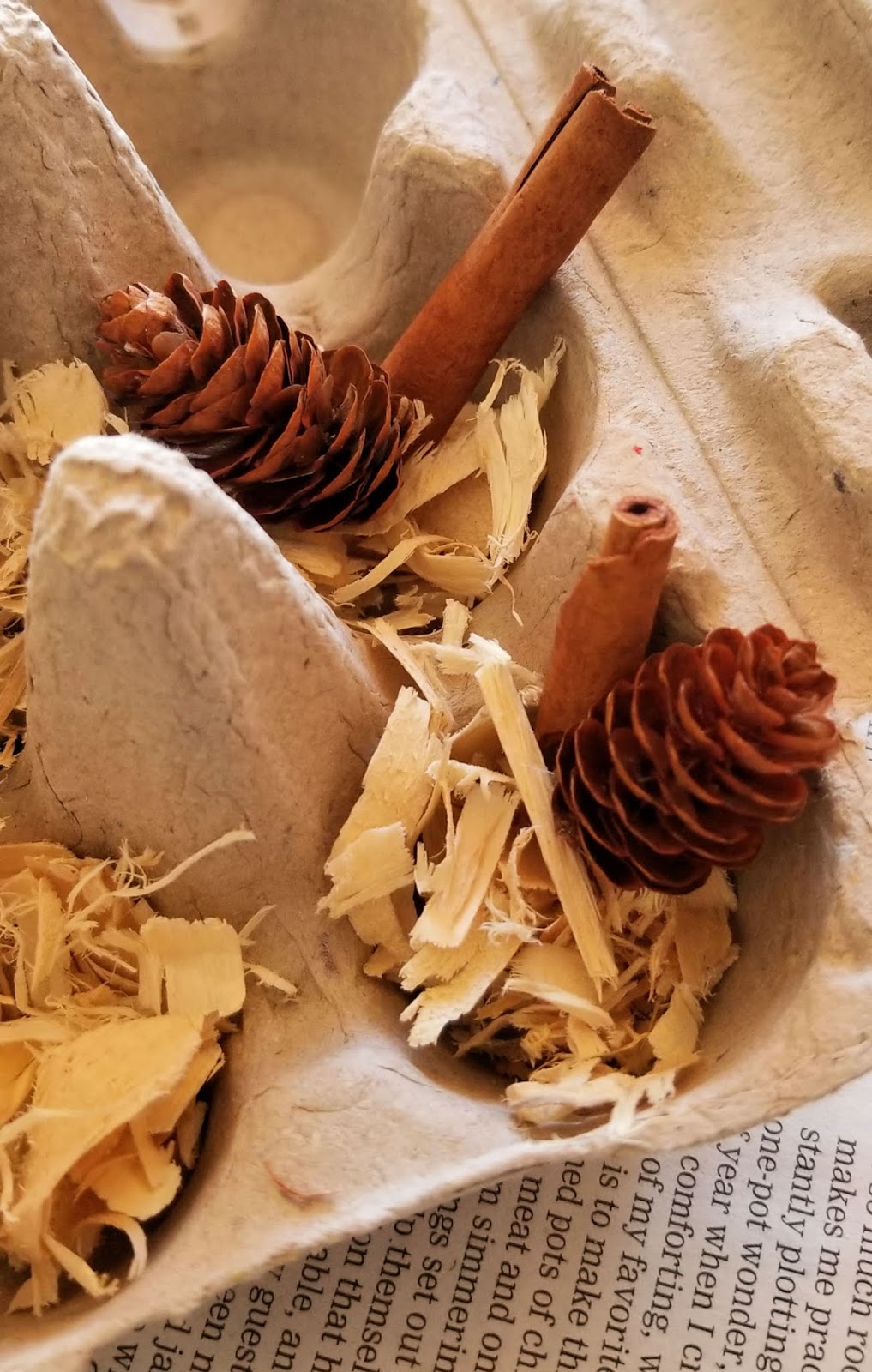 DIY Beeswax Egg Carton Fire Starters Fresh Eggs Daily® with Lisa Steele