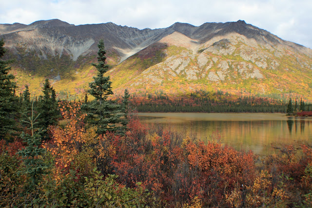 DENALI HIGHWAY - LA ULTIMA FRONTERA. CRONICAS DE ALASKA (8)