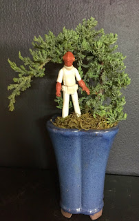 Admiral Ackbar in a bonsai at Stein Your Florist Co.