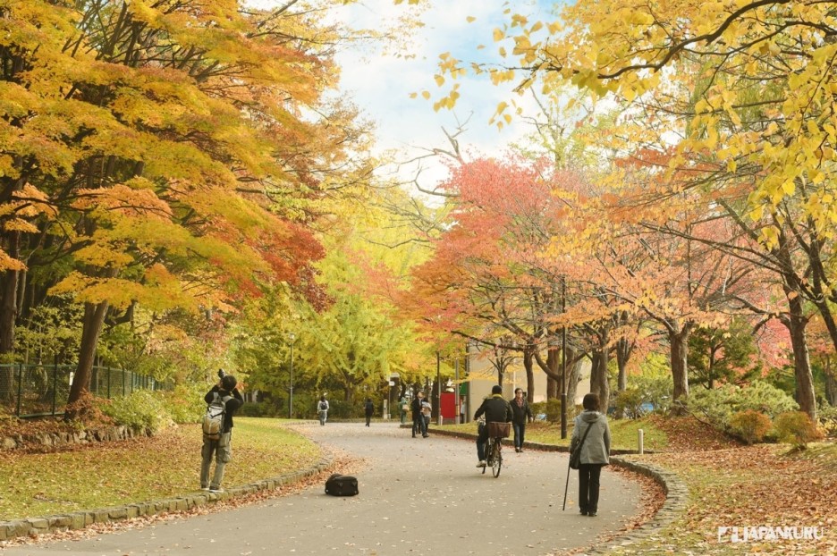 JAPANKURU: :::SPECIAL::: # Start planning your trip for the beautiful