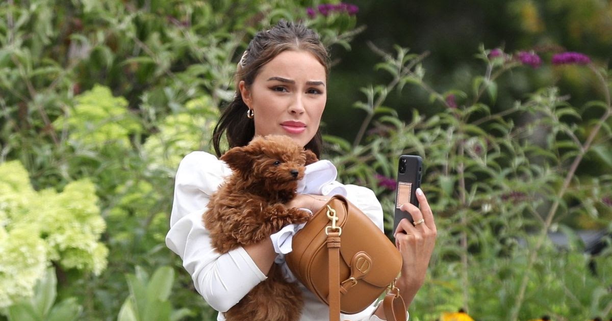 Olivia Culpo Clicked Outside with her Dog in Rhode Island 2 Aug -2020