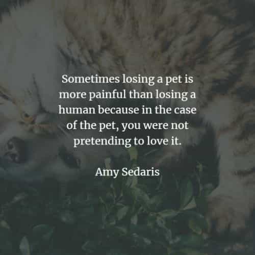 40 Pet Quotes And Sayings That Inspire A Love For Animals
