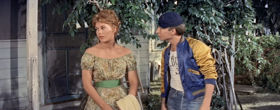 FÉRIAS DE AMOR (DUAL AUDIO/1080p) – 1955 001