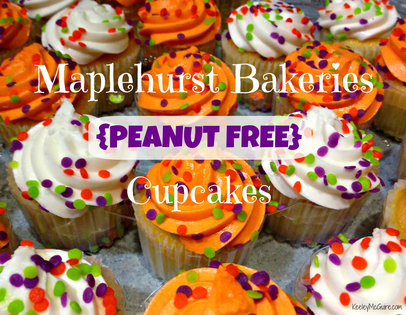 Gluten Free & Allergy Friendly Food for Thought Maplehurst Bakeries {Peanut Free} Cupcakes