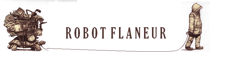 Robot Flaneur
