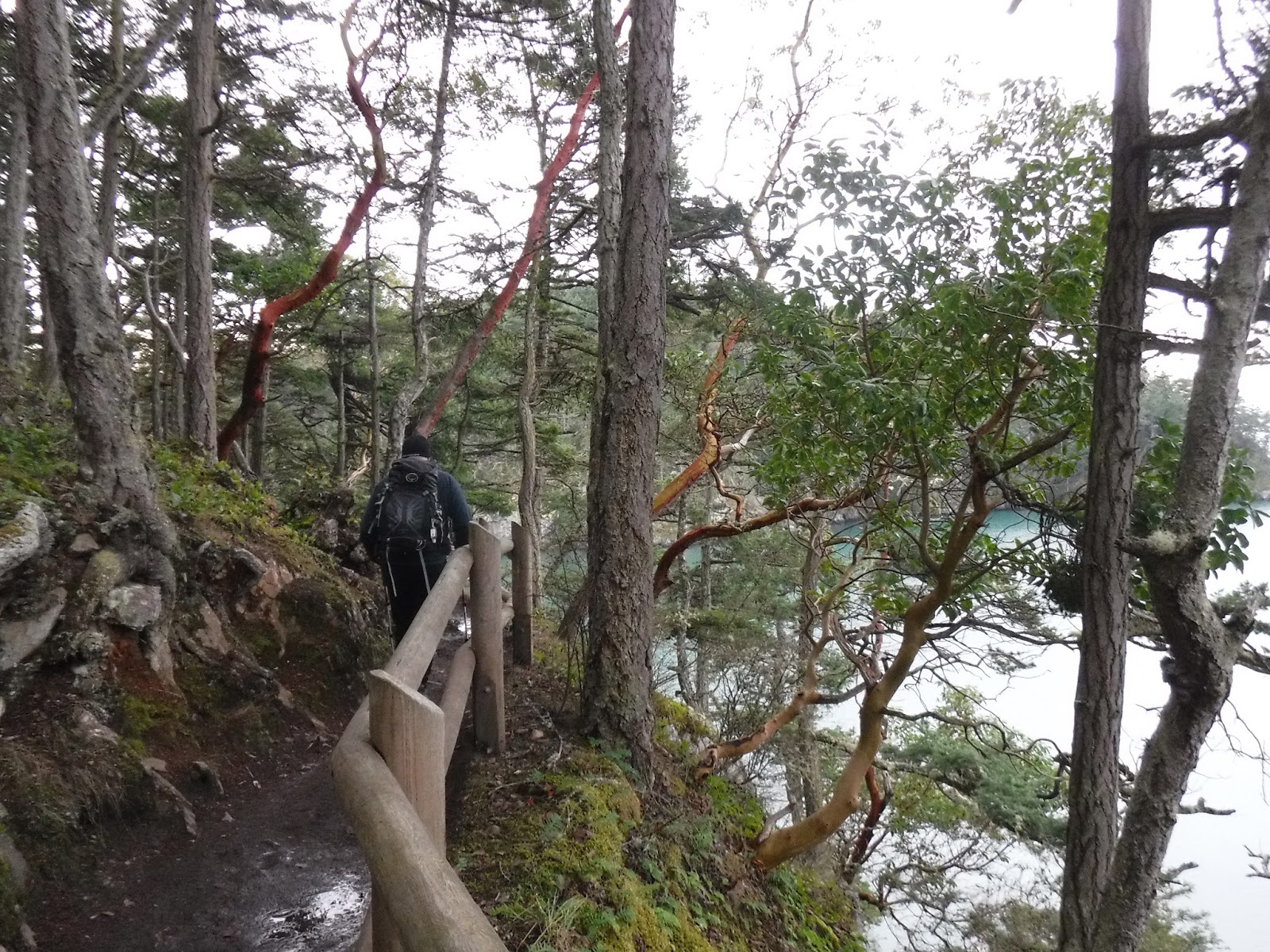 Hears Different Drummer Bowman Bay hike