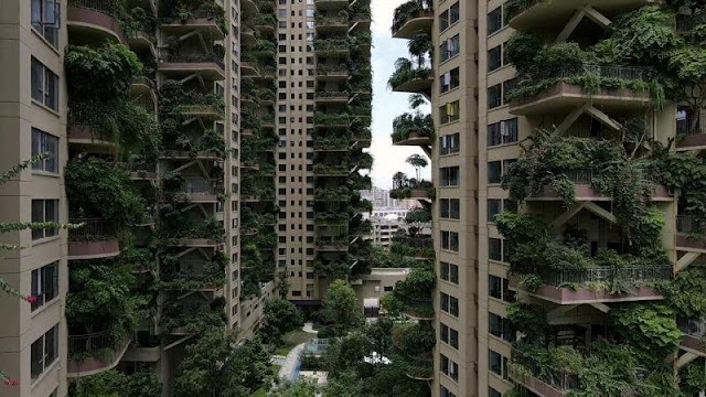 غابة النباتات العمودية في مجمع سكني بالصين 
