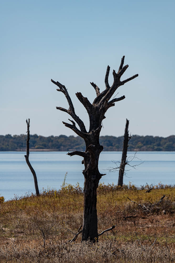 Jon's Journeys Day 20, Lake Somerville State Park, Birch Creek Unit