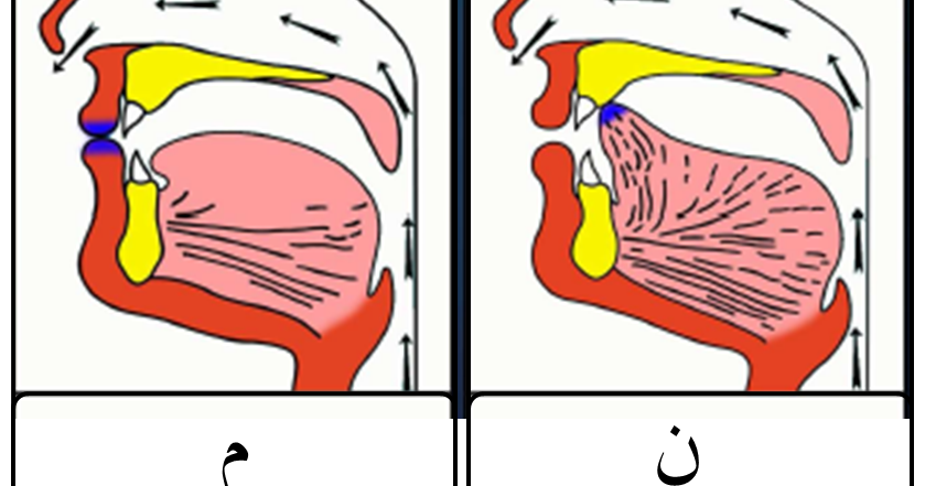 Pengertian Gunnah Dan Contohnya Hahuwa