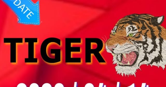 موقع تايجر الرسمي الجديد