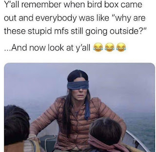 Bird Box Meme