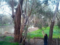 &ldquo;I ain&rsquo;t skurred&rdquo;