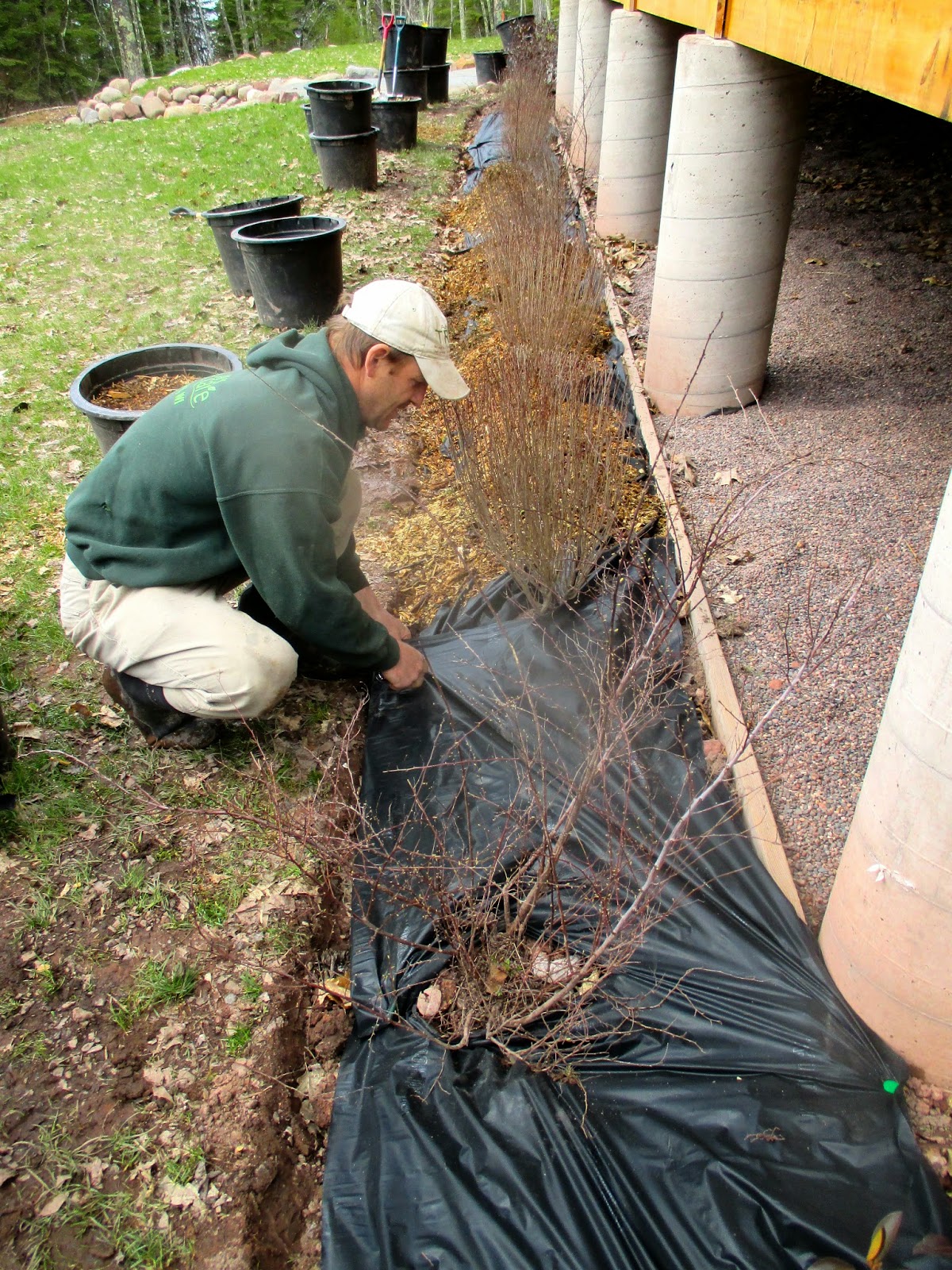 Art's Bayfield Almanac PUTTING DOWN A WEED BARRIER MAT AND MULCH