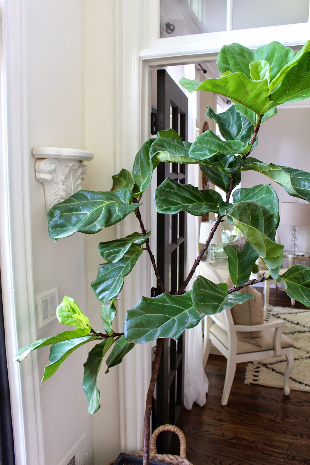 A TON of new updates around the house | MakeupByTiffanyD | Bloglovin’