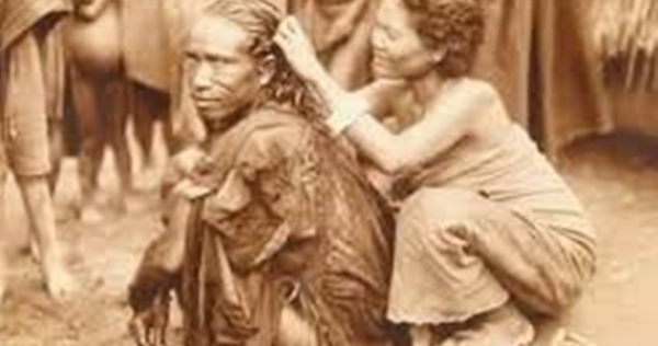 21 Arti Mimpi Mengenai Kutu Menurut Primbon Jawa Erek Erek 2D 3D 4D dan