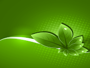 Wallpapers of Nature. Wallpapers of Nature (leaveswithdrops tw )