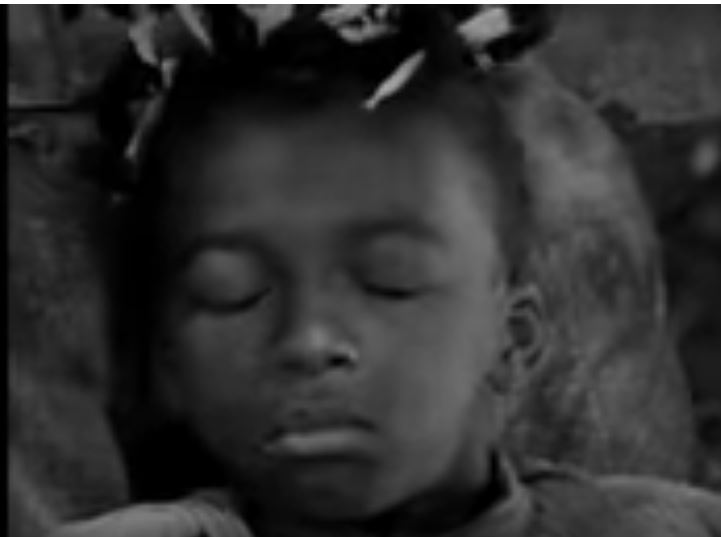 Buckwheat Kitchen Garden all about growing and using buckwheat Two