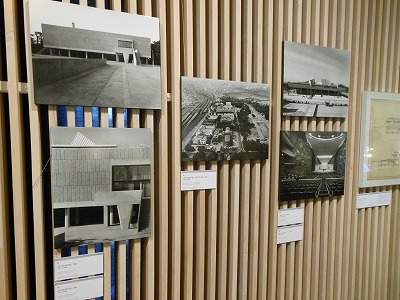 中国ゾウ、500キロの旅を終えて帰国